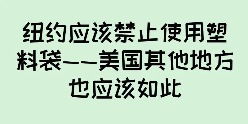 纽约应该禁止使用塑料袋——美国其他地方也应该如此