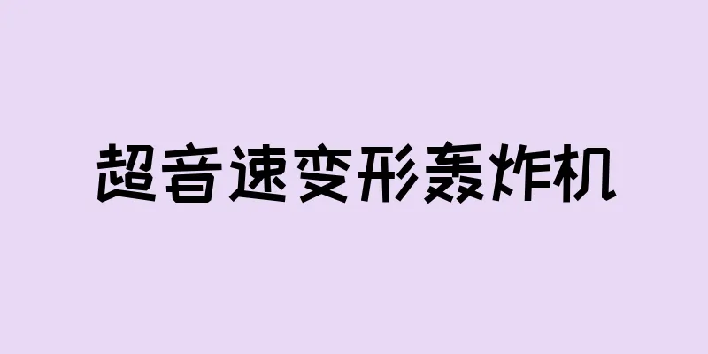 超音速变形轰炸机