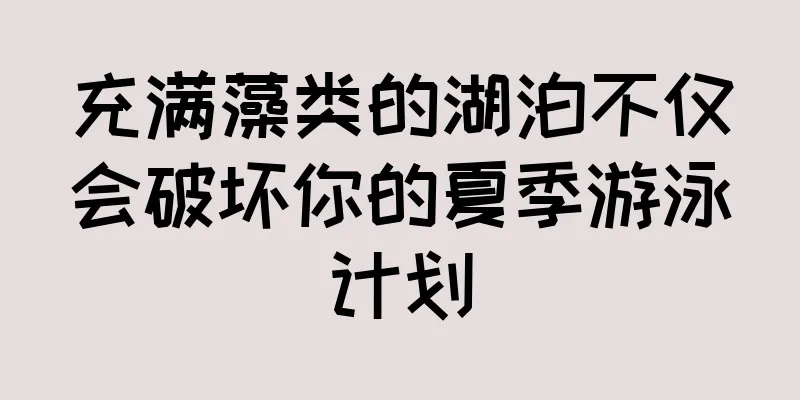 充满藻类的湖泊不仅会破坏你的夏季游泳计划
