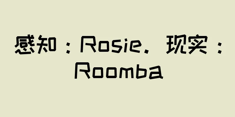 感知：Rosie。现实：Roomba
