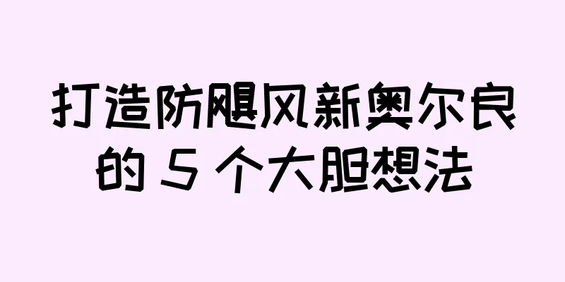 打造防飓风新奥尔良的 5 个大胆想法