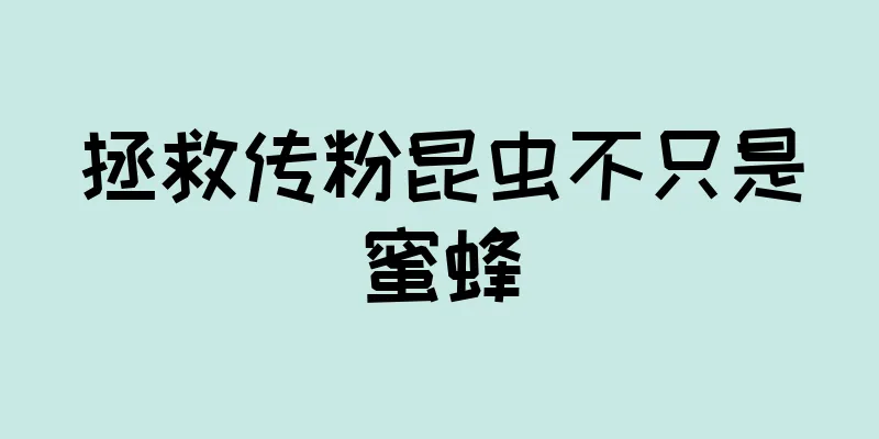 拯救传粉昆虫不只是蜜蜂