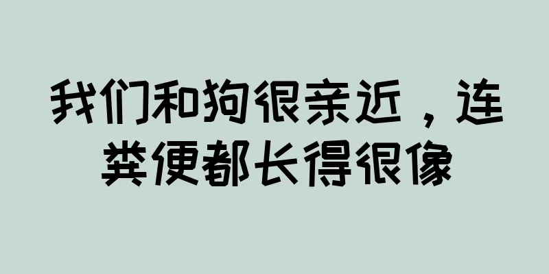 我们和狗很亲近，连粪便都长得很像