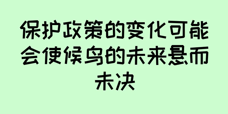保护政策的变化可能会使候鸟的未来悬而未决
