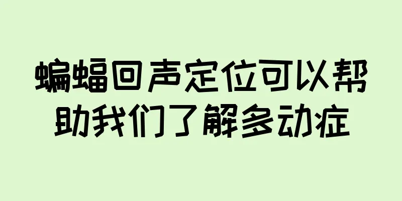 蝙蝠回声定位可以帮助我们了解多动症
