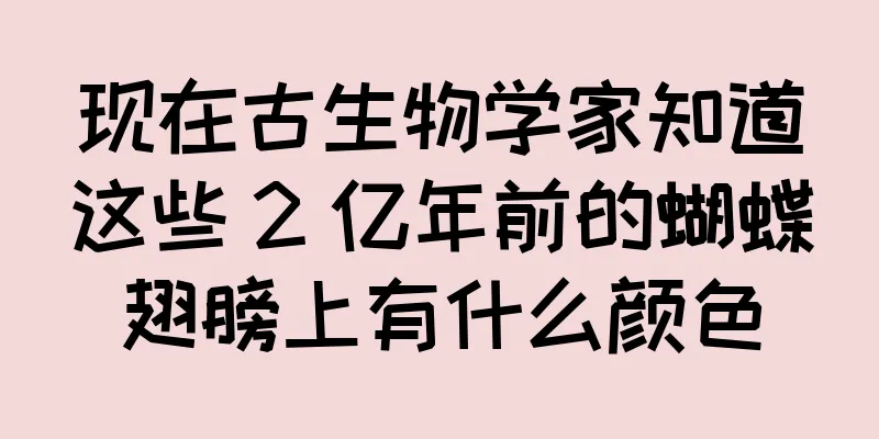 现在古生物学家知道这些 2 亿年前的蝴蝶翅膀上有什么颜色
