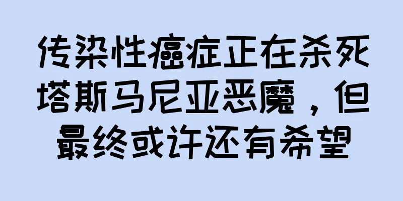 传染性癌症正在杀死塔斯马尼亚恶魔，但最终或许还有希望