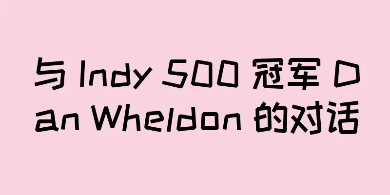 与 Indy 500 冠军 Dan Wheldon 的对话