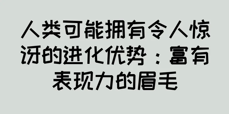 人类可能拥有令人惊讶的进化优势：富有表现力的眉毛