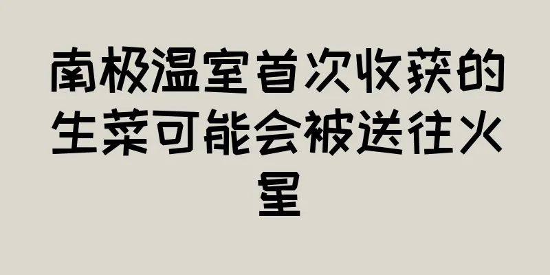 南极温室首次收获的生菜可能会被送往火星