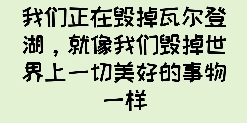 我们正在毁掉瓦尔登湖，就像我们毁掉世界上一切美好的事物一样