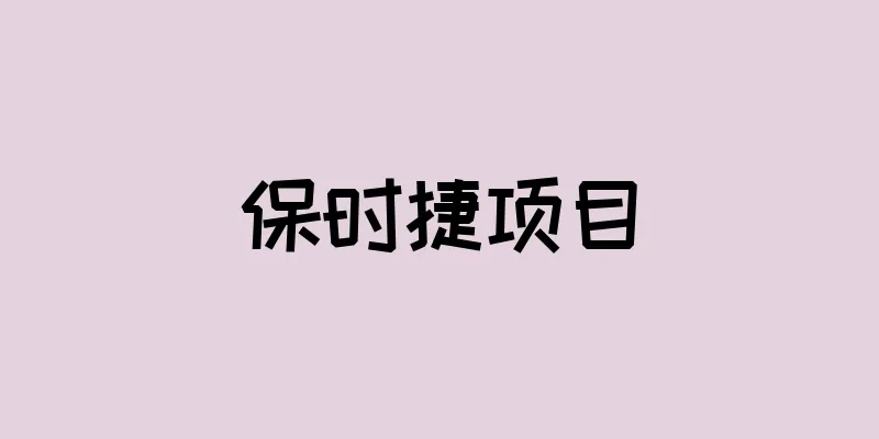 保时捷项目