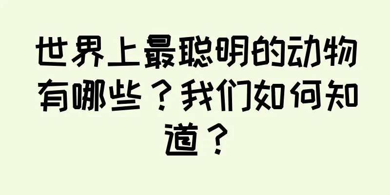 世界上最聪明的动物有哪些？我们如何知道？