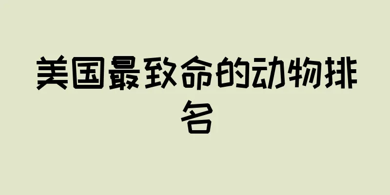 美国最致命的动物排名