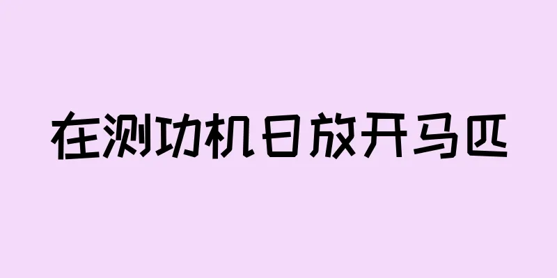 在测功机日放开马匹