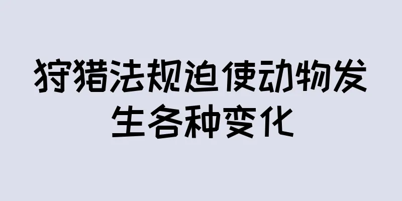 狩猎法规迫使动物发生各种变化