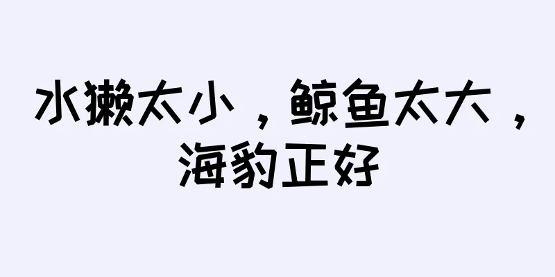 水獭太小，鲸鱼太大，海豹正好