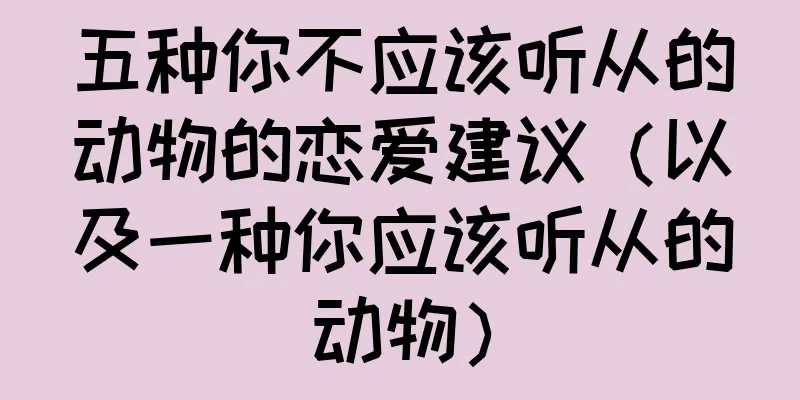 五种你不应该听从的动物的恋爱建议（以及一种你应该听从的动物）