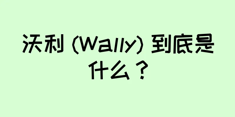 沃利 (Wally) 到底是什么？