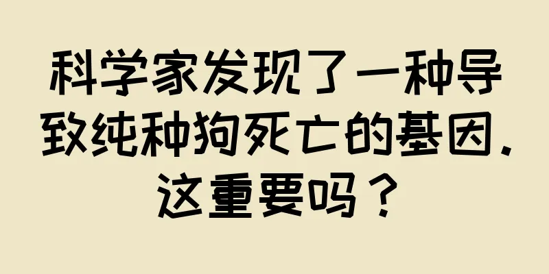 科学家发现了一种导致纯种狗死亡的基因。这重要吗？