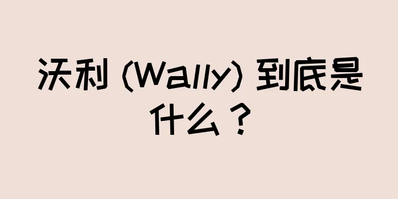 沃利 (Wally) 到底是什么？