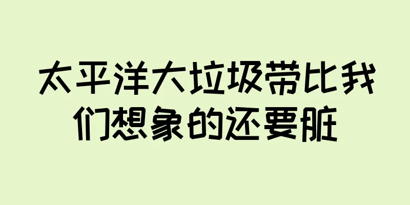 太平洋大垃圾带比我们想象的还要脏