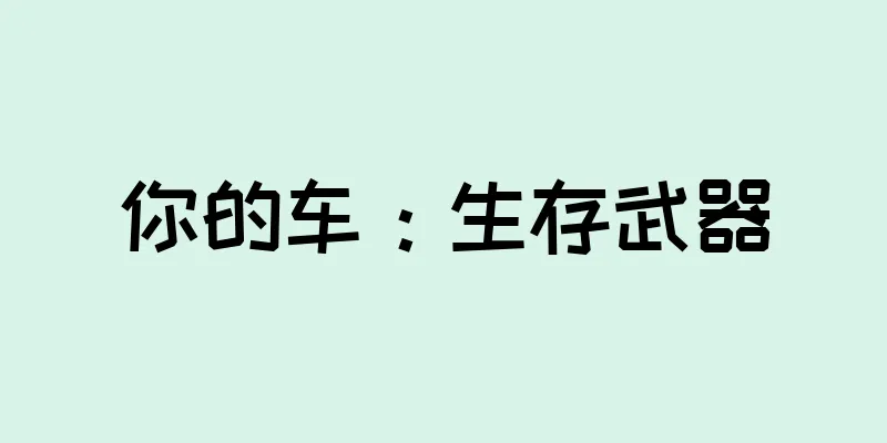 你的车：生存武器