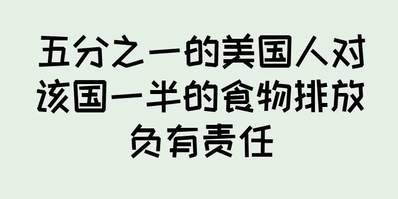 五分之一的美国人对该国一半的食物排放负有责任