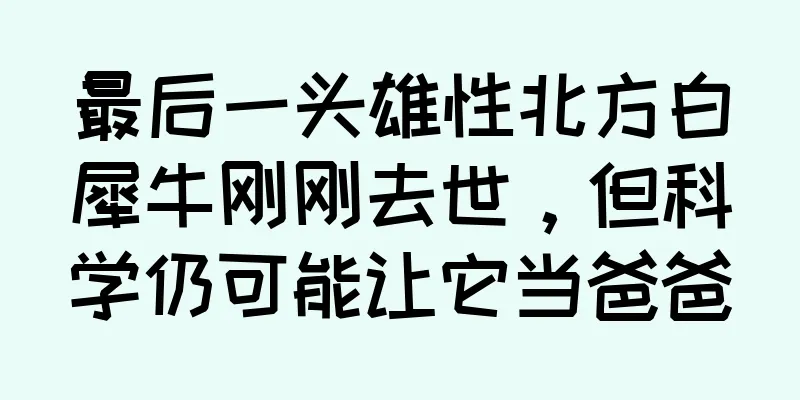 最后一头雄性北方白犀牛刚刚去世，但科学仍可能让它当爸爸