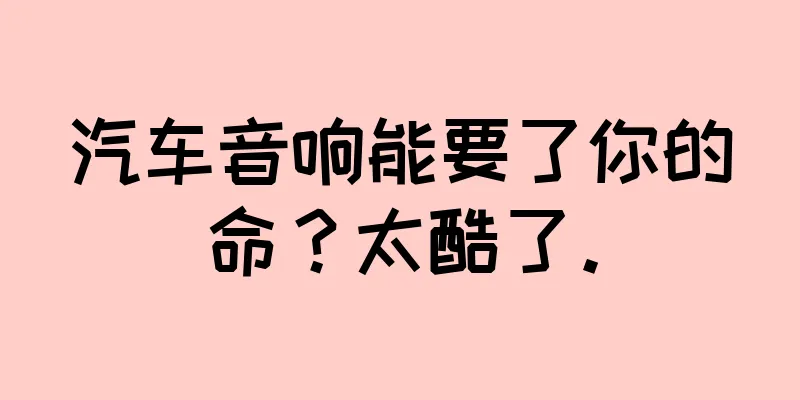 汽车音响能要了你的命？太酷了。