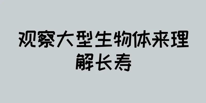观察大型生物体来理解长寿