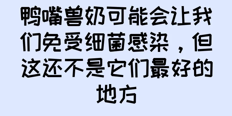 鸭嘴兽奶可能会让我们免受细菌感染，但这还不是它们最好的地方