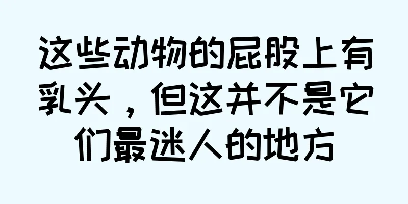 这些动物的屁股上有乳头，但这并不是它们最迷人的地方