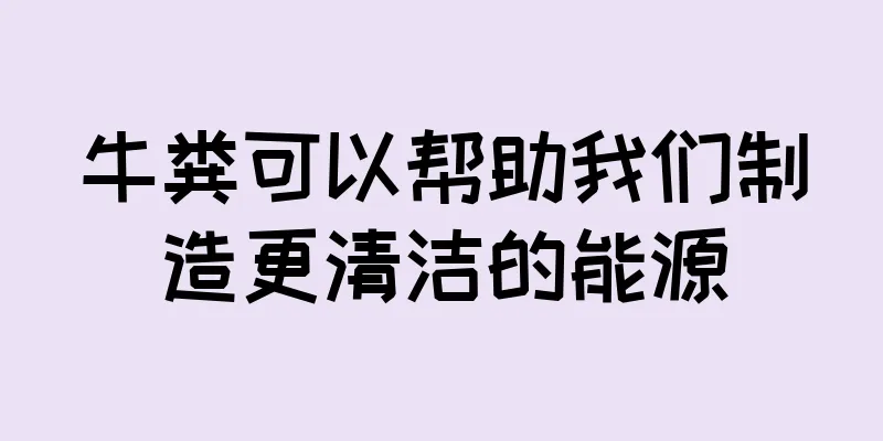 牛粪可以帮助我们制造更清洁的能源