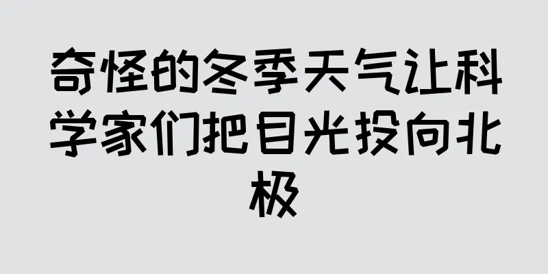 奇怪的冬季天气让科学家们把目光投向北极