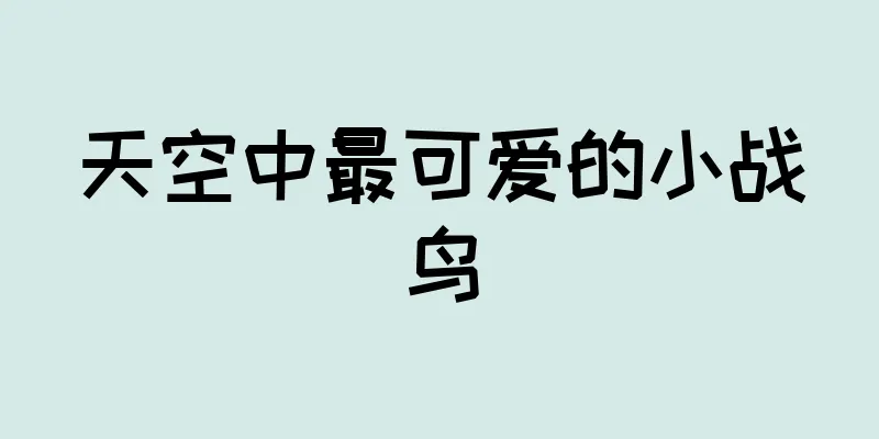天空中最可爱的小战鸟