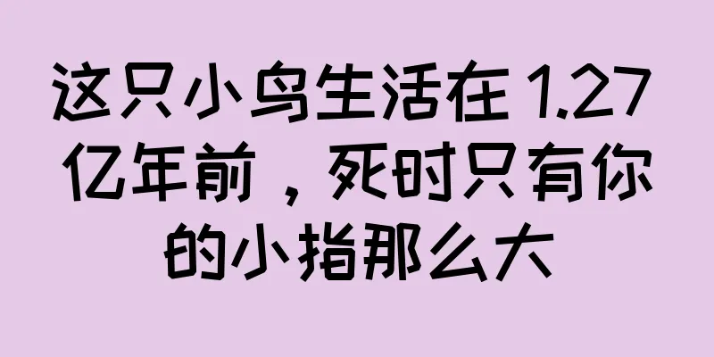 这只小鸟生活在 1.27 亿年前，死时只有你的小指那么大