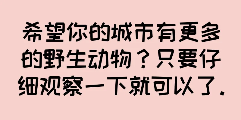 希望你的城市有更多的野生动物？只要仔细观察一下就可以了。