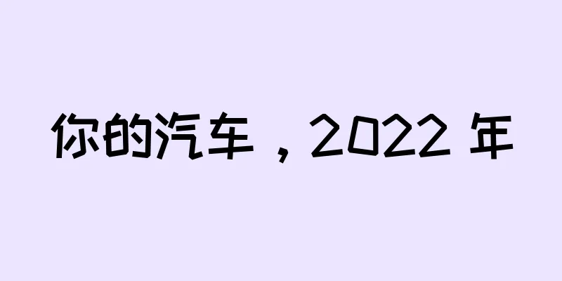 你的汽车，2022 年