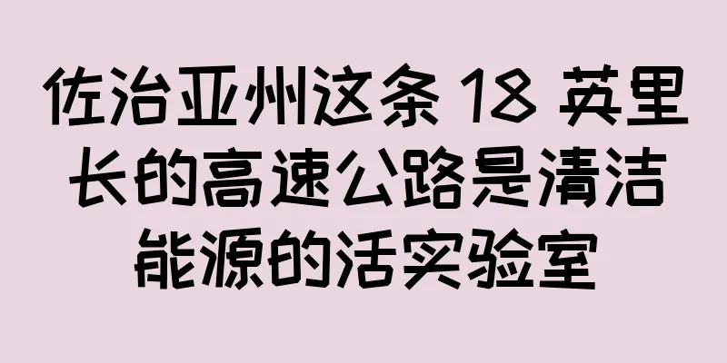 佐治亚州这条 18 英里长的高速公路是清洁能源的活实验室