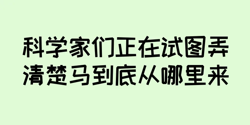 科学家们正在试图弄清楚马到底从哪里来