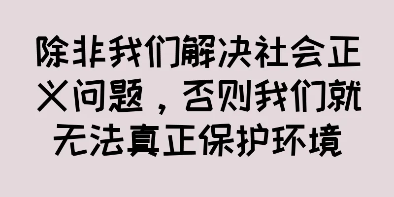 除非我们解决社会正义问题，否则我们就无法真正保护环境