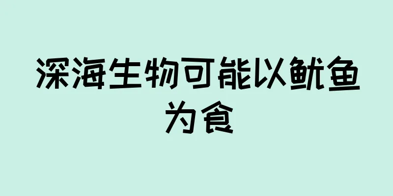 深海生物可能以鱿鱼为食