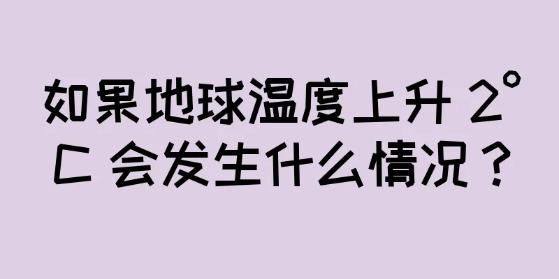 如果地球温度上升 2°C 会发生什么情况？