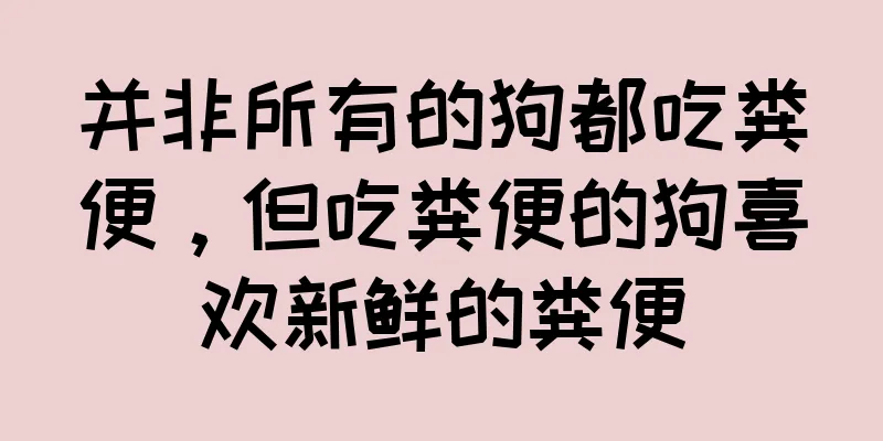 并非所有的狗都吃粪便，但吃粪便的狗喜欢新鲜的粪便