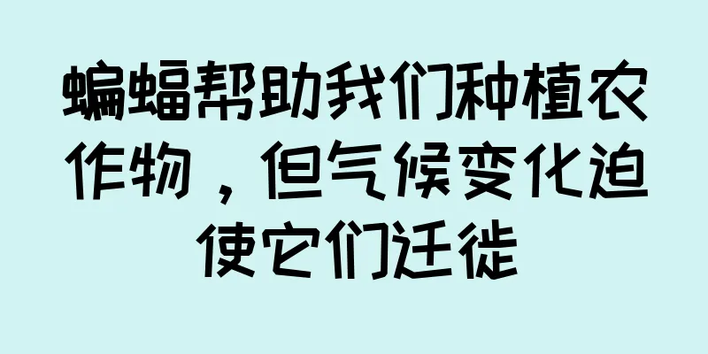 蝙蝠帮助我们种植农作物，但气候变化迫使它们迁徙