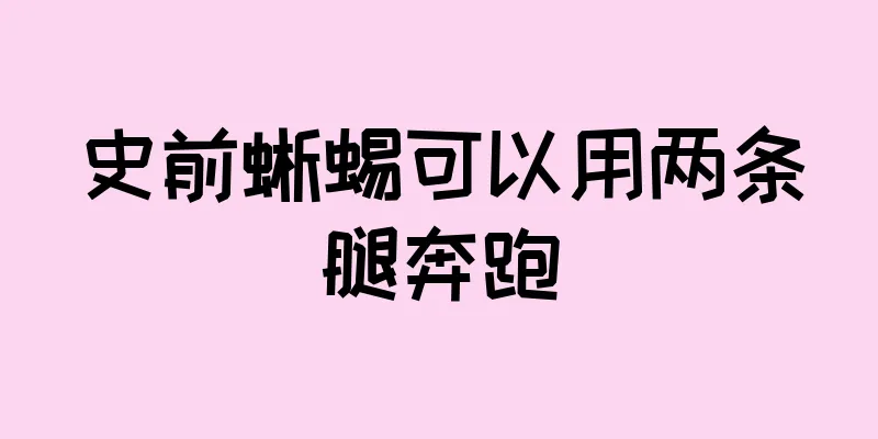 史前蜥蜴可以用两条腿奔跑