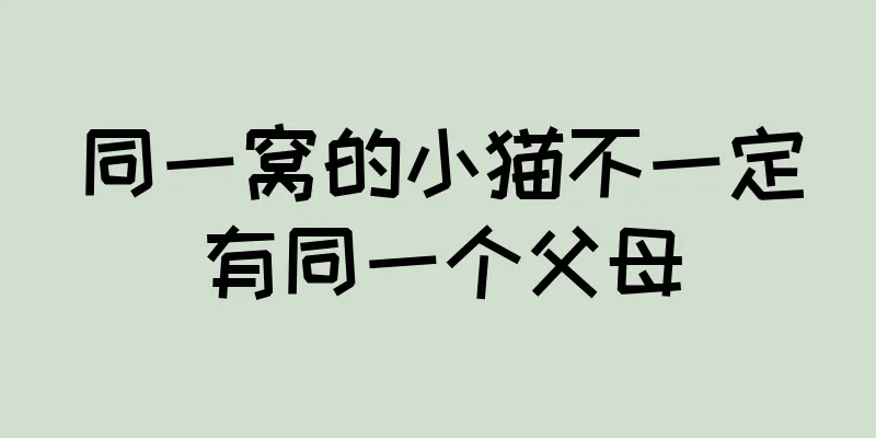 同一窝的小猫不一定有同一个父母