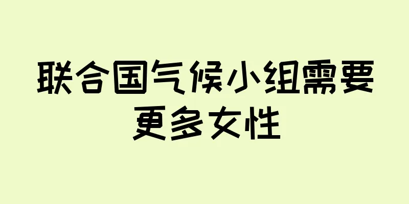 联合国气候小组需要更多女性