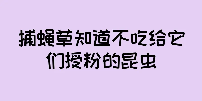 捕蝇草知道不吃给它们授粉的昆虫
